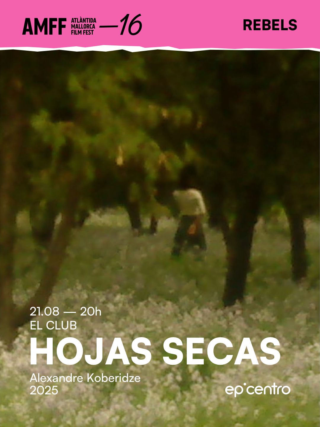 AMMF - Hojas Secas